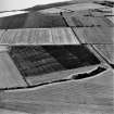 Oblique aerial view centred on the linear cropmarks with rig adjacent, taken from the NNW.