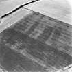 Oblique aerial view centred on the linear cromarks, taken from the SSW.