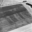 Oblique aerial view centred on the linear cromarks, taken from the WNW.