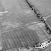 Oblique aerial view centred on the cropmarks of pits, a roundhouse, possible enclosure and rig, taken from the NNE.
