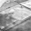 Craigmill, oblique aerial view, taken from the SE, centred on the cropmarks of a barrow cemetery, ring-ditches, pits and rig.