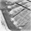 Craigmill, oblique aerial view, taken from the S, centred on the cropmarks of an unenclosed settlement and  enclosures, with rig and furrow cultivation across the photograph.