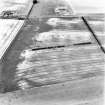 Craigmill, oblique aerial view, taken from the SE, centred on the cropmarks of an unenclosed settlement and  enclosures, with rig and furrow cultivation across the photograph.