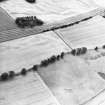 Oblique aerial view centred on the cropmarks of the Roman temporary camp and the rig, taken from the NNE.