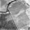 Dowrie Burn, oblique aerial view, taken from the SW, centred on the cropmarks of a possible enclosure and rig and furrow cultivation.