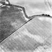 Dowrie Burn, oblique aerial view, taken from the SSE, centred on the cropmarks of a possible enclosure and rig and furrow cultivation.