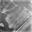 Balcathie, oblique aerial view, taken from the SSW, centred on the cropmarks of several ring-ditches and pit features, and showing further cropmarks including those of an enclosure in the top left-hand corner of the photograph.