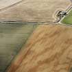 Oblique aerial views centred on the cropmarks of the NE terminal of a pit-defined cursus with ring-ditches, pits and cropmarks adjacent, taken from the NE.