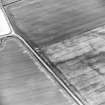 Oblique aerial view centred on the cropmarks of the pit-defined cursus, taken from the SSW.