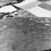 Boysack, oblique aerial view, taken from the W, showing the cropmarks of an unenclosed settlement, a pit-defined enclosure and souterrains, and of an enclosure and timber hall.