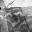 Westfield, oblique aerial view, taken from the NW, centred on the cropmarks of rig, a souterrain, pits and a possible round house.