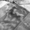 Westfield, oblique aerial view, taken from the WNW, centred on the cropmarks of rig, a souterrain, pits and a possible round house. The cropmark of an enclosure is visible in the top left-hand corner of the photograph.