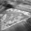 Boysack and Chapelton, oblique aerial view, taken from the WNW, centred on the cropmarks of two unenclosed settlements.