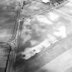 Boysack and Chapelton, oblique aerial view, taken from the SE, centred on the cropmarks of two unenclosed settlements.