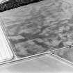Oblique aerial view centred on the cropmarks of a pit-defined enclosure with unenclosed settlement and souterrains adjacent, taken from the E.