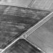 Boysack, oblique aerial view of cropmarks showing an unenclosed settlement and a possible souterrain, taken from WNW.