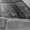 Boysack, oblique aerial view of cropmarks showing an unenclosed settlement and a possible souterrain, taken from WSW.