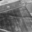 Boysack, oblique aerial view of cropmarks showing an unenclosed settlement and a possible souterrain, taken from SW.