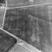 Boysack, oblique aerial view of cropmarks showing an unenclosed settlement and a possible souterrain, taken from SW.