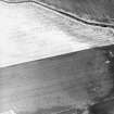 Newbarns, oblique aerial view, taken from the NW, centred on the cropmarks of an enclosure.