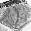 Oblique aerial view centred on the cropmarks of the possible enclosure, ring-ditch and pits, taken from the E.