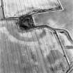 Newbarns, oblique aerial view, taken from the SE, centred on the cropmarks of two enclosures and pits. Linear cropmarks and possible barrows are visible in the top right-hand corner of the photograph.