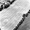Priestfield, Anniston House, oblique aerial view, taken from the NE, centred on the cropmarks of a palisaded enclosure and ring-ditches. Anniston House and walled garden are visible in the top left-hand corner of the photograph.
