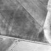 Newbarns, oblique aerial view, taken from the W, centred on the cropmarks of an unenclosed settlement and linear cropmarks.