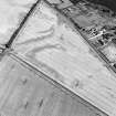 Oblique aerial view centred on the cropmarks of the unenclosed settlement and pits, taken from the NW.