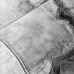 On-line Digital Images