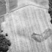 Oblique aerial view.