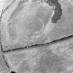 Oblique aerial view of Dowan's Hill centred on the remains of a fort with the cropmarks of another possible fort and rig adjacent, taken from the WSW.