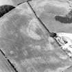 Oblique aerial view of Dowan's Hill centred on the cropmarks of a possible fort and rig with the remains of a fort adjacent, taken from the S.