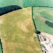 Oblique aerial view of Dowan's Hill centred on the cropmarks of a possible fort and rig with the remains of a fort adjacent, taken from the SE.