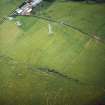Oblique aerial view centred on the parchmarks of the plantation enclosure and trackway, taken from the SE.