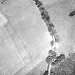 Oblique aerial view.
