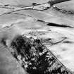 Black Hill, Lesmahagow, oblique aerial view, taken from the NE, centred on the fort, settlement and cairn.