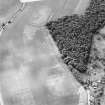 Oblique aerial view centred on the cropmarks of the fort and palisaded settlement, taken from the ESE.