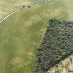 Oblique aerial view centred on the cropmarks of the fort and palisaded settlement, taken from the ENE.