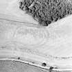 Oblique aerial view centred on the cropmarks of the fort, taken from the SW.