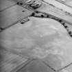 Oblique aerial view centred on the cropmarks of the Roman temporary camp and ring-ditch, taken from the SE.