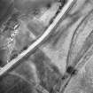 Wester Carmuirs: ring-ditches. Air photograph