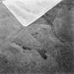 Moor Plantation, enclosures and cultivation remains: air photograph