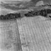 Castledykes, oblique aerial view, taken from the W, centred on cropmarks of the E half of a field-system.