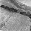 Castledykes, oblique aerial view, taken from the SW, centred on cropmarks of the E half of a field-system.