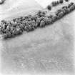 Castledykes, oblique aerial view taken from the SW, centred on a Roman Fort.