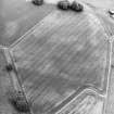 Oblique aerial view centred on the cropmarks of the Roman temporary camp and field-system, taken from the NW.