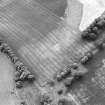 Oblique aerial view centred on the cropmarks of the eastern annexes and enclosures, taken from the NE.