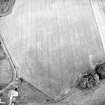 Oblique aerial view centred on the cropmarks of the Roman temporary camp and field-system, taken from the S.