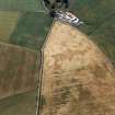 Oblique aerial view.